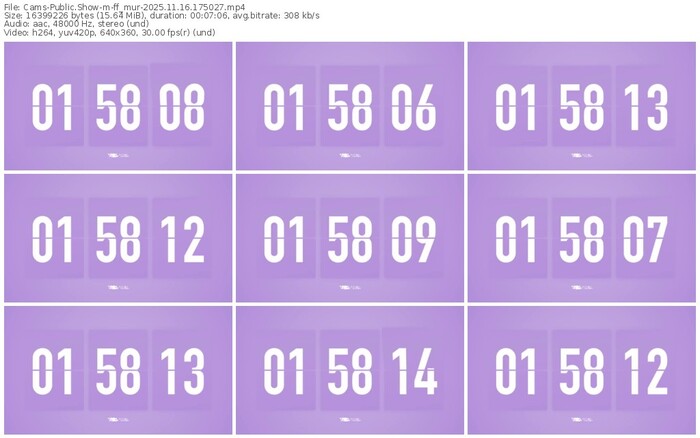 cams-ff_mur-11-16-2025-17-50-27
