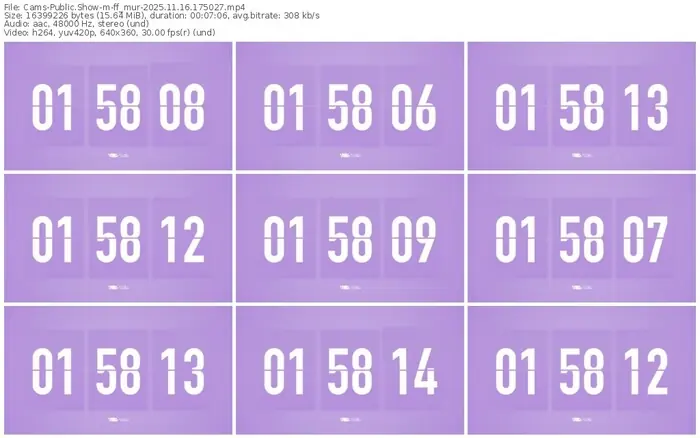 cams-ff_mur-11-16-2025-17-50-27