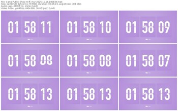 cams-ff_mur-11-16-2025-18-08-34