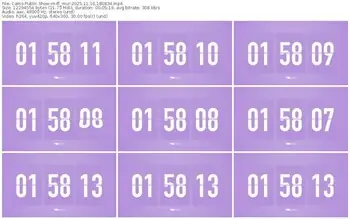 cams-ff_mur-11-16-2025-18-08-34