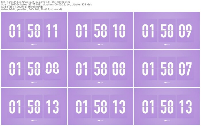 cams-ff_mur-11-16-2025-18-08-34