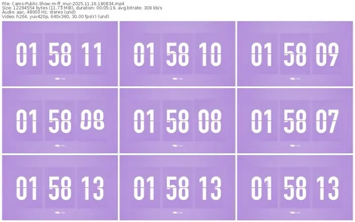 cams-ff_mur-11-16-2025-18-08-34