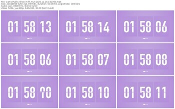 cams-ff_mur-11-16-2025-18-13-55