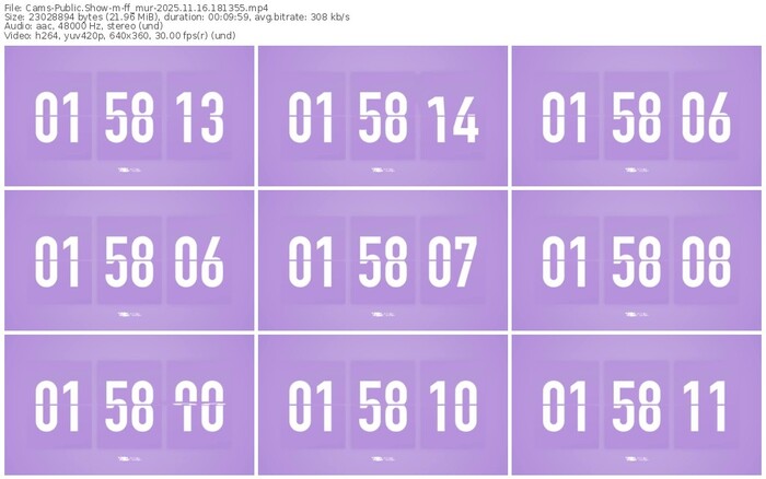 cams-ff_mur-11-16-2025-18-13-55