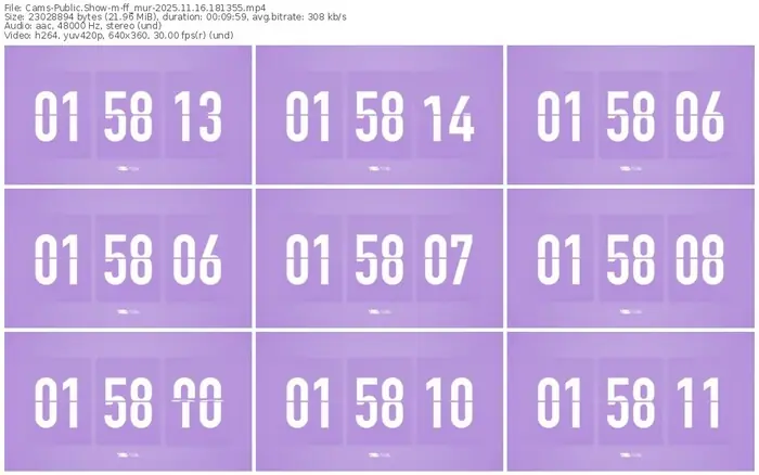 cams-ff_mur-11-16-2025-18-13-55