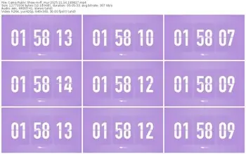 cams-ff_mur-11-16-2025-18-38-27