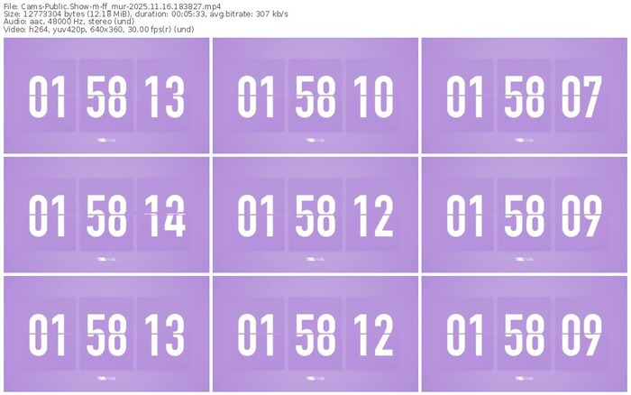 cams-ff_mur-11-16-2025-18-38-27