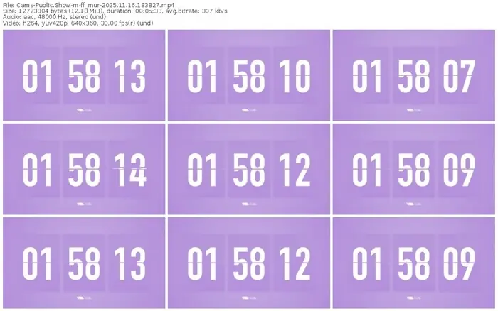 cams-ff_mur-11-16-2025-18-38-27