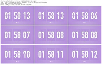 cams-ff_mur-11-16-2025-19-06-11