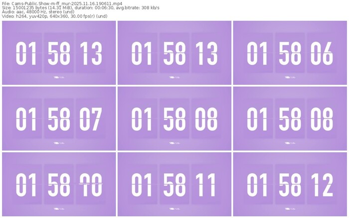 cams-ff_mur-11-16-2025-19-06-11