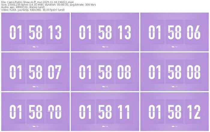 cams-ff_mur-11-16-2025-19-06-11