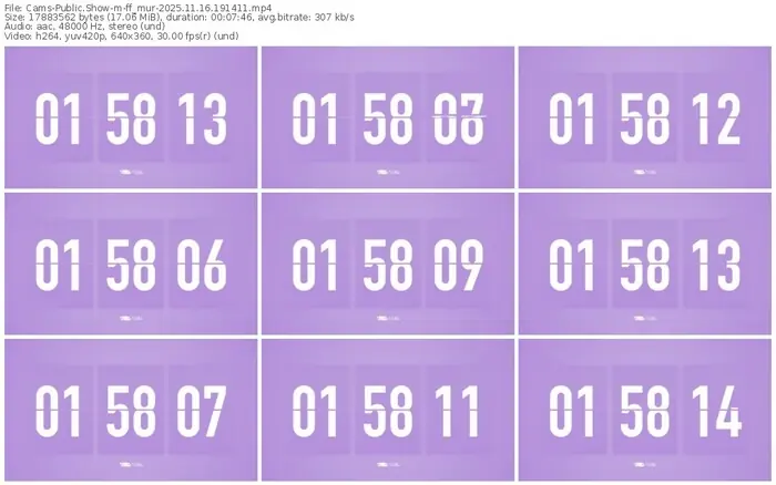 cams-ff_mur-11-16-2025-19-14-11