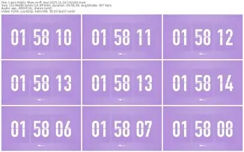 cams-ff_mur-11-16-2025-19-22-00