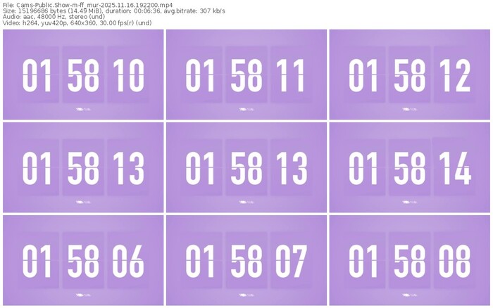 cams-ff_mur-11-16-2025-19-22-00