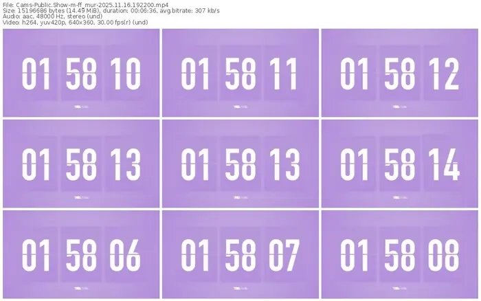 cams-ff_mur-11-16-2025-19-22-00
