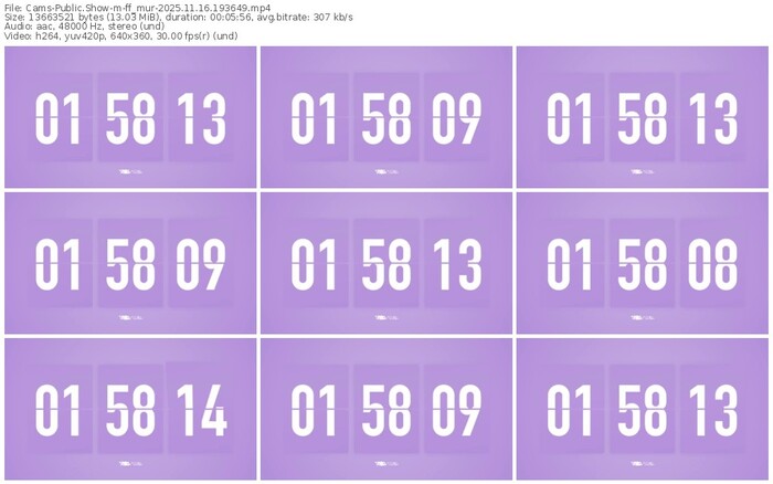 cams-ff_mur-11-16-2025-19-36-49