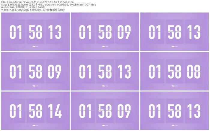 cams-ff_mur-11-16-2025-19-36-49