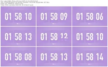 cams-ff_mur-11-16-2025-19-53-33