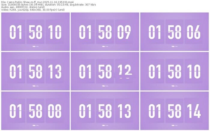 cams-ff_mur-11-16-2025-19-53-33