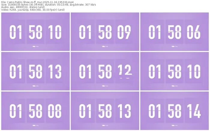 cams-ff_mur-11-16-2025-19-53-33