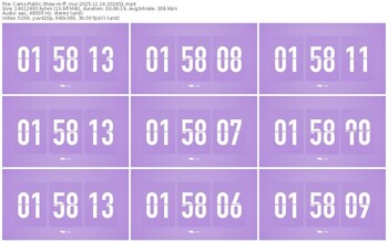 cams-ff_mur-11-16-2025-20-26-51