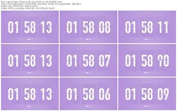 cams-ff_mur-11-16-2025-20-26-51