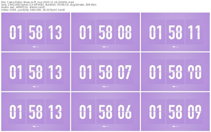 cams-ff_mur-11-16-2025-20-26-51