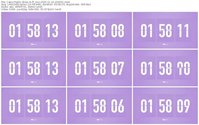 cams-ff_mur-11-16-2025-20-26-51