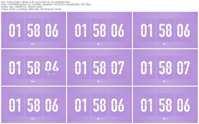 cams-ff_mur-11-16-2025-20-38-26