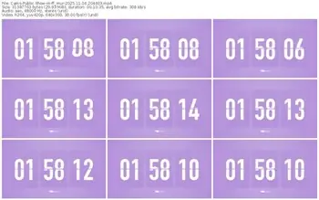 cams-ff_mur-11-16-2025-20-44-03