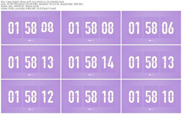 cams-ff_mur-11-16-2025-20-44-03