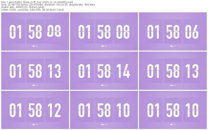 cams-ff_mur-11-16-2025-20-44-03
