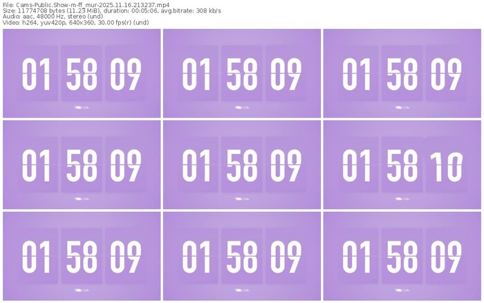 cams-ff_mur-11-16-2025-21-32-37