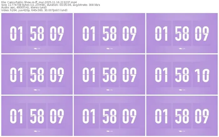 cams-ff_mur-11-16-2025-21-32-37