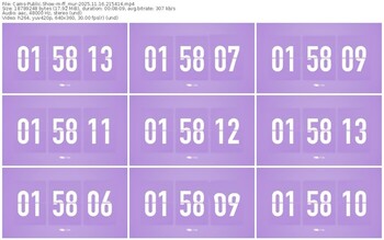 cams-ff_mur-11-16-2025-21-54-14