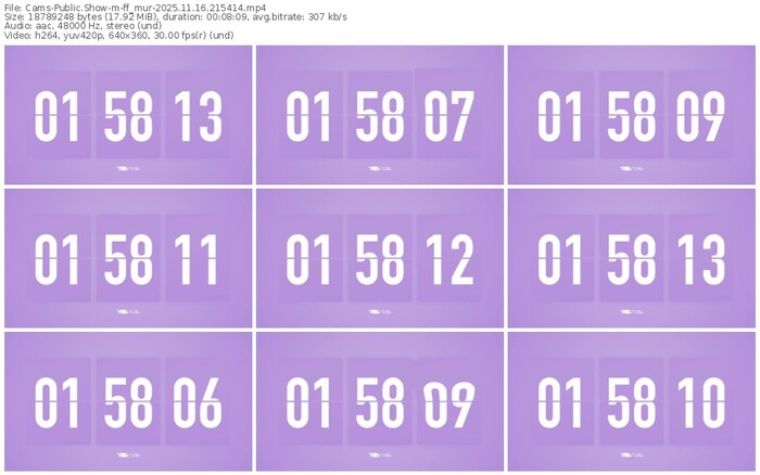 cams-ff_mur-11-16-2025-21-54-14