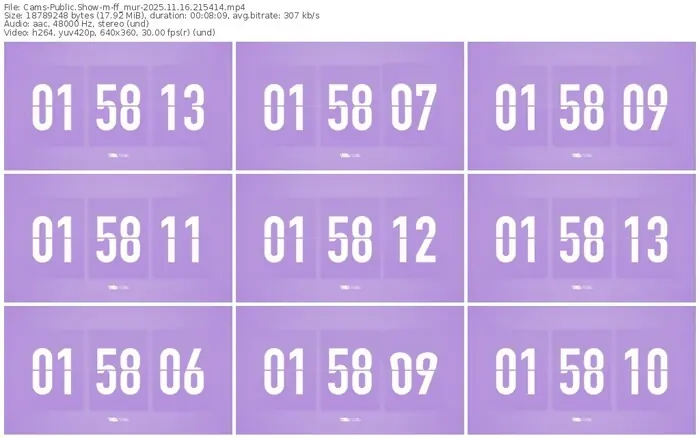cams-ff_mur-11-16-2025-21-54-14