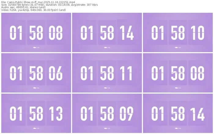 cams-ff_mur-11-16-2025-22-22-51