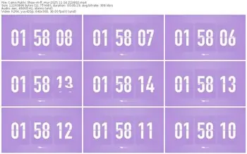 cams-ff_mur-11-16-2025-22-38-02