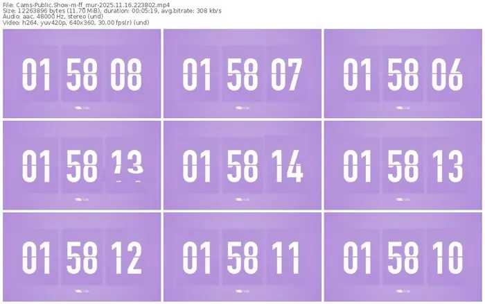 cams-ff_mur-11-16-2025-22-38-02