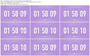 cams-ff_mur-11-16-2025-22-48-23