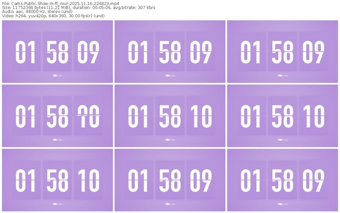 cams-ff_mur-11-16-2025-22-48-23