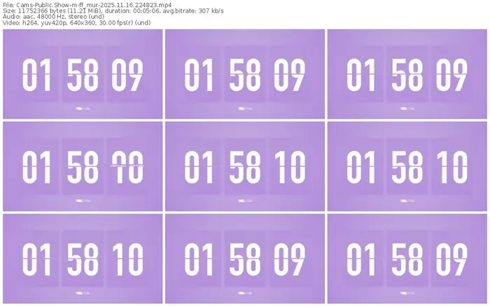 cams-ff_mur-11-16-2025-22-48-23
