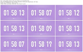 cams-ff_mur-11-16-2025-22-57-50