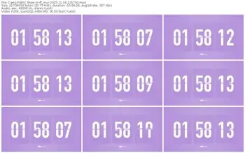 cams-ff_mur-11-16-2025-22-57-50