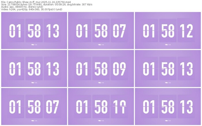 cams-ff_mur-11-16-2025-22-57-50