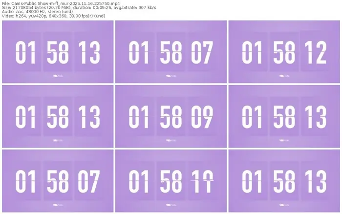 cams-ff_mur-11-16-2025-22-57-50