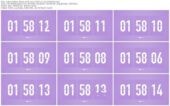 cams-ff_mur-11-16-2025-23-29-34