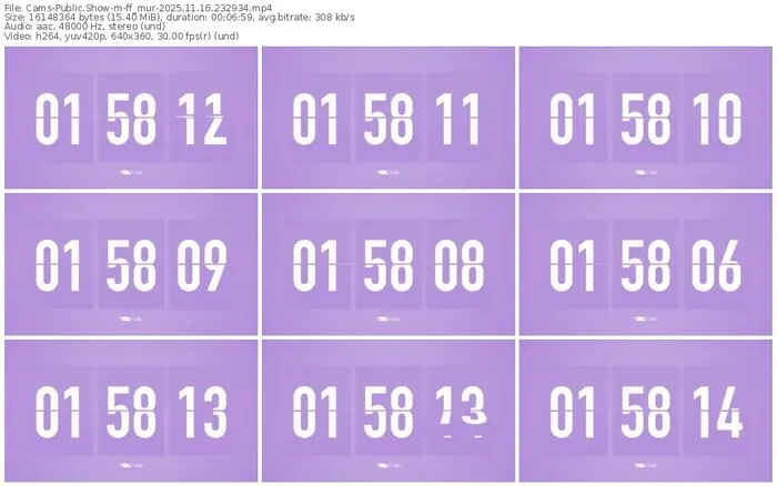 cams-ff_mur-11-16-2025-23-29-34
