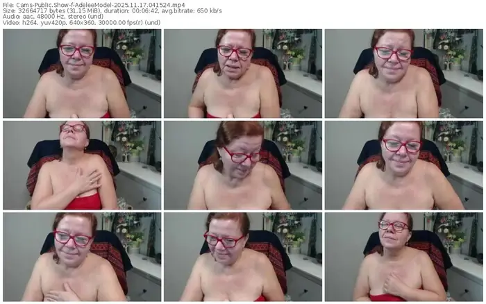 cams-adeleemodel-11-17-2025-04-15-24